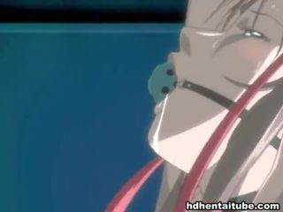 Mischen von videos von hentai nischen